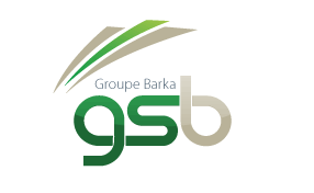 Groupe de Socits BARKA - Le professionnel en agrgats